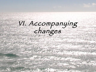 VI. Accompanying changes 