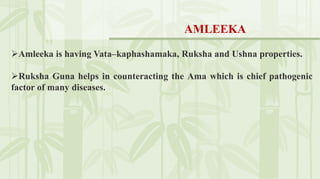Amleeka is having Vata–kaphashamaka, Ruksha and Ushna properties.
Ruksha Guna helps in counteracting the Ama which is chief pathogenic
factor of many diseases.
AMLEEKA
 