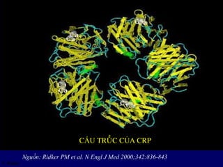 Vai trò các dấu ấn sinh học (biomarkers) trong bệnh lý tim mạch | PDF