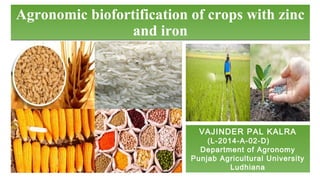 Agronomic biofortification of crops with zinc
and iron
Agronomic biofortification of crops with zinc
and iron
VAJINDER PAL KALRA
(L-2014-A-02-D)
Department of Agronomy
Punjab Agricultural University
Ludhiana
 