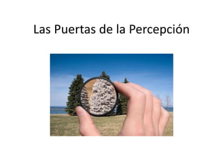 Las Puertas de la Percepción

 