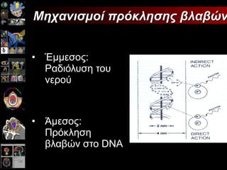 Έμμεσος: Ραδιόλυση του νερού Άμεσος: Πρόκληση βλαβών στο  DNA Μηχανισμοί πρόκλησης βλαβών 