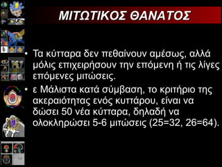 Τα   κύτταρα δεν πεθαίνουν αμέσως, αλλά μόλις επιχειρήσουν την επόμενη ή τις λίγες επόμενες μιτώσεις.  􀁺 Μάλιστα κατά σύμβαση, το κριτήριο της ακεραιότητας ενός κυττάρου, είναι να δώσει 50 νέα κύτταρα, δηλαδή να ολοκληρώσει 5-6 μιτώσεις (25=32, 26=64).   ΜΙΤΩΤΙΚΟΣ ΘΑΝΑΤΟΣ 