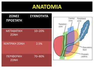 ΑΝΑΣΟΜΙΑ
  ΖΩΝΕ΢         ΢ΤΧΝΟΣΗΣΑ
 ΠΡΟ΢ΣΑΣΗ

 ΜΕΣΑΒΑΣΙΚΗ       10–20%
   ΖΩΝΗ

ΚΕΝΣΡΙΚΗ ΖΩΝΗ      2.5%



 ΠΕΡΙΦΕΡΙΚΗ       70–80%
   ΖΩΝΗ
 