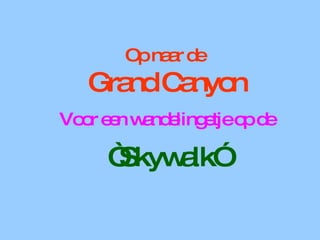 Op naar de  Grand Canyon   Voor een wandelingetje op de “ Skywalk” 