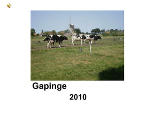         Vakantie Gapinge 2010 