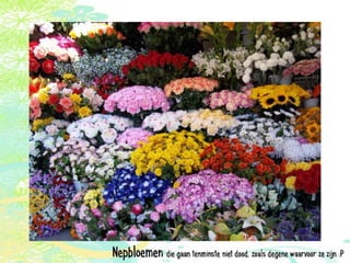 Vakantie italië '11