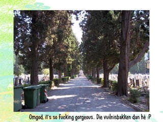 Vakantie italië '11