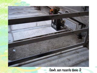 Vakantie italië '11