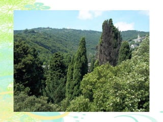 Vakantie italië '11