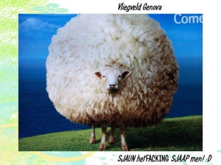 Vakantie italië '11