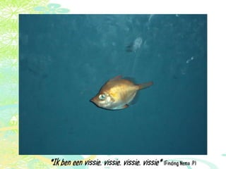 Vakantie italië '11