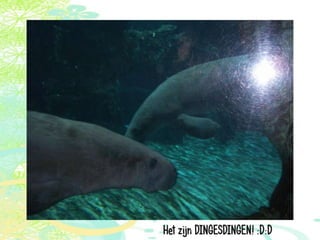 Vakantie italië '11