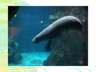 Vakantie italië '11