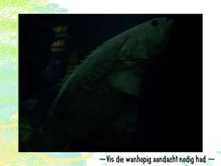 Vakantie italië '11