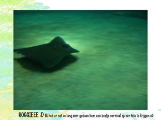 Vakantie italië '11