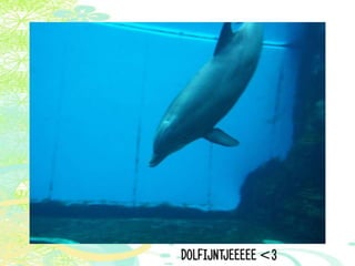 Vakantie italië '11