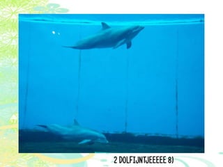 Vakantie italië '11