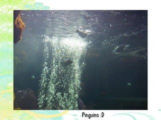 Vakantie italië '11