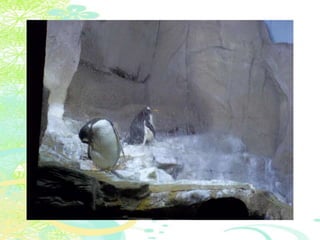 Vakantie italië '11