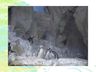 Vakantie italië '11