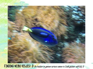 Vakantie italië '11