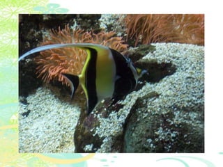 Vakantie italië '11