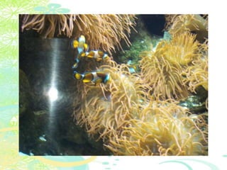 Vakantie italië '11