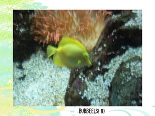 Vakantie italië '11