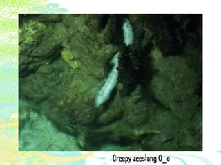 Vakantie italië '11