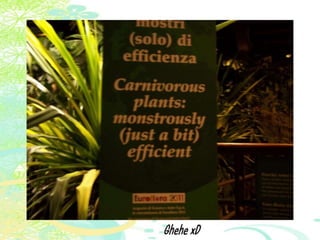 Vakantie italië '11