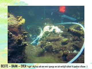 Vakantie italië '11