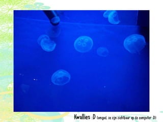 Vakantie italië '11