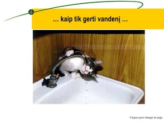 …  kaip tik gerti vandenį  … Cliquez pour changer de page 
