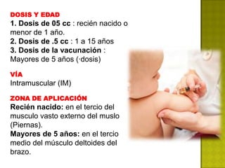 DOSIS Y EDAD
1. Dosis de 05 cc : recién nacido o
menor de 1 año.
2. Dosis de .5 cc : 1 a 15 años
3. Dosis de la vacunación :
Mayores de 5 años (·dosis)

VÍA
Intramuscular (IM)

ZONA DE APLICACIÓN
Recién nacido: en el tercio del
musculo vasto externo del muslo
(Piernas).
Mayores de 5 años: en el tercio
medio del músculo deltoides del
brazo.
 