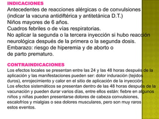 INDICACIONES
Antecedentes de reacciones alérgicas o de convulsiones
(indicar la vacuna antidiftérica y antitetánica D.T.)
Niños mayores de 6 años.
Cuadros febriles o de vías respiratorias.
No aplicar la segunda o la tercera inyección si hubo reacción
neurológica después de la primera o la segunda dosis.
Embarazo: riesgo de hiperemia y de aborto o
de parto prematuro.

CONTRAINDICACIONES
Los efectos locales se presentan entre las 24 y las 48 horas después de la
aplicación y las manifestaciones pueden ser: dolor induración (tejidos
duros), enrojecimiento y calor en el sitio de aplicación de la inyección.
Los efectos sistemáticos se presentan dentro de las 48 horas después de la
vacunación y pueden durar varios días, entre ellos están: fiebre en algunos
niños y niñas pueden presentarse dolores de cabeza convulsiones,
escalofríos y mialgias o sea dolores musculares, pero son muy raros
estos eventos.
 
