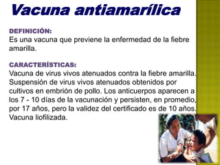 Vacuna antiamarílica
DEFINICIÓN:
Es una vacuna que previene la enfermedad de la fiebre
amarilla.

CARACTERÍSTICAS:
Vacuna de virus vivos atenuados contra la fiebre amarilla.
Suspensión de virus vivos atenuados obtenidos por
cultivos en embrión de pollo. Los anticuerpos aparecen a
los 7 - 10 días de la vacunación y persisten, en promedio,
por 17 años, pero la validez del certificado es de 10 años.
Vacuna liofilizada.
 