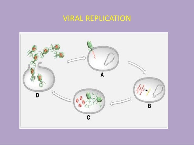 Buy ivermectin for humans south africa Buy ivermectin for humans south africa