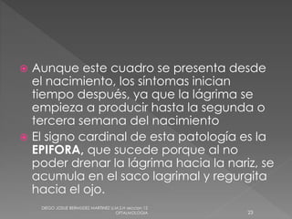  Aunque este cuadro se presenta desde 
el nacimiento, los síntomas inician 
tiempo después, ya que la lágrima se 
empieza a producir hasta la segunda o 
tercera semana del nacimiento 
 El signo cardinal de esta patología es la 
EPIFORA, que sucede porque al no 
poder drenar la lágrima hacia la nariz, se 
acumula en el saco lagrimal y regurgita 
hacia el ojo. 
DIEGO JOSUE BERMUDEZ MARTINEZ U.M.S.H seccion 12 
OFTALMOLOGIA 23 
 