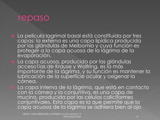  La película lagrimal basal está constituida por tres 
capas: la externa es una capa lipídica producida 
por las glándulas de Meibomio y cuya función es 
proteger a la capa acuosa de la lágrima de la 
evaporación. 
 La capa acuosa, producida por las glándulas 
acceso1ias de Krause y Wolfring, es la más 
importante de la lágrima, y su función es mantener la 
lubricación de la superficie ocular y oxigenar la 
córnea. 
 La capa interna de la lágrima, que está en contacto 
con la córnea y la conjuntiva, es una capa de 
mucina, producida por las células caliciformes 
conjuntivales. Esta capa es la que permite que la 
capa acuosa de la lágrima se adhiera bien al ojo 
DIEGO JOSUE BERMUDEZ MARTINEZ U.M.S.H seccion 12 
OFTALMOLOGIA 4 
 