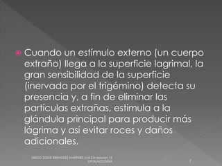  Cuando un estímulo externo (un cuerpo 
extraño) llega a la superficie lagrimal, la 
gran sensibilidad de la superficie 
(inervada por el trigémino) detecta su 
presencia y, a fin de eliminar las 
partículas extrañas, estimula a la 
glándula principal para producir más 
lágrima y así evitar roces y daños 
adicionales. 
DIEGO JOSUE BERMUDEZ MARTINEZ U.M.S.H seccion 12 
OFTALMOLOGIA 7 
 