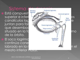  Está compuesto por los puntos lagrimales 
superior e inferior, que se continúan con los 
canalículos lagrimales. Estos canalículos se 
juntan para formar el canalículo común, 
que desemboca en el saco lag1imal, 
situado en la fosa lagrimal en el lado interno 
de la órbita. 
 El saco lagrimal en su porción inferior se 
continúa conel conducto lagrimonasal, 
labrado en la región ósea, para drenar en el 
meato inferior nasal. 
DIEGO JOSUE BERMUDEZ MARTINEZ U.M.S.H seccion 12 
OFTALMOLOGIA 9 
 