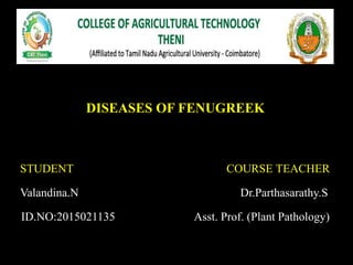 .
DISEASES OF FENUGREEK
STUDENT COURSE TEACHER
Valandina.N Dr.Parthasarathy.S
ID.NO:2015021135 Asst. Prof. (Plant Pathology)
 