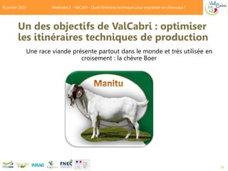 Un des objectifs de ValCabri : optimiser
les itinéraires techniques de production
Une race viande présente partout dans le...