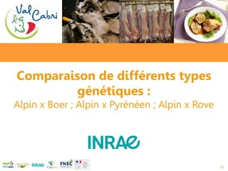 Comparaison de différents types
génétiques :
Alpin x Boer ; Alpin x Pyrénéen ; Alpin x Rove
16
 