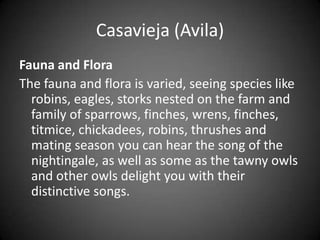 Casavieja (Avila)
Fauna and Flora
The fauna and flora is varied, seeing species like
  robins, eagles, storks nested on the farm and
  family of sparrows, finches, wrens, finches,
  titmice, chickadees, robins, thrushes and
  mating season you can hear the song of the
  nightingale, as well as some as the tawny owls
  and other owls delight you with their
  distinctive songs.
 