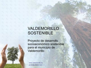 VALDEMORILLO SOSTENIBLE Proyecto de desarrollo socioeconómico sostenible para el municipio de Valdemorillo www.valdemorillo.eu [email_address] 