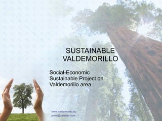 SUSTAINABLE VALDEMORILLO Social-Economic Sustainable Project on Valdemorillo area www.valdemorillo.eu [email_address] 