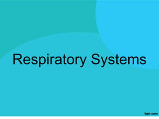 Respiratory Systems
 