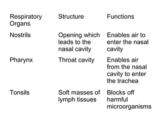 Respiratory   Structure        Functions
Organs
Nostrils      Opening which    Enables air to
              leads to the     enter the nasal
              nasal cavity     cavity
Pharynx       Throat cavity    Enables air
                               from the nasal
                               cavity to enter
                               the trachea
Tonsils       Soft masses of   Blocks off
              lymph tissues    harmful
                               microorganisms
 